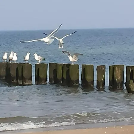 Mieszkanie Przy Plazy Ela