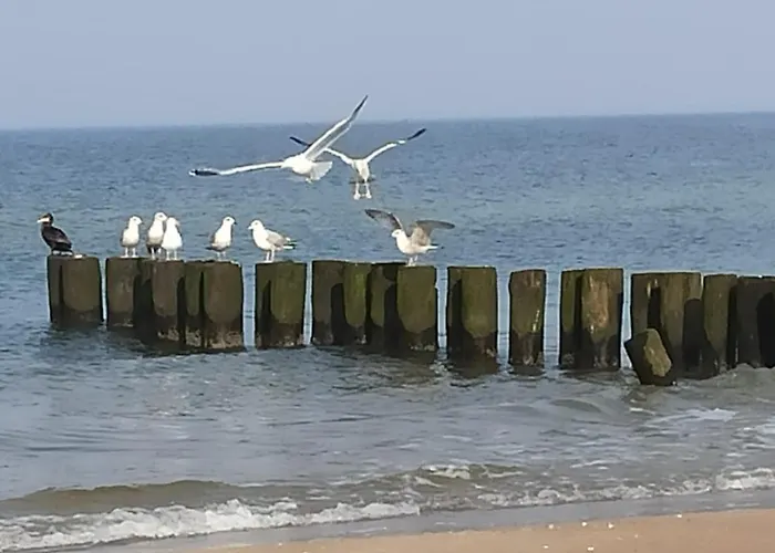 Mieszkanie Przy Plazy Ela